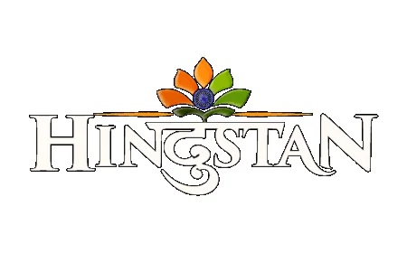 Instagram Page Hindustan Is Bringing India's Untold Stories to Life